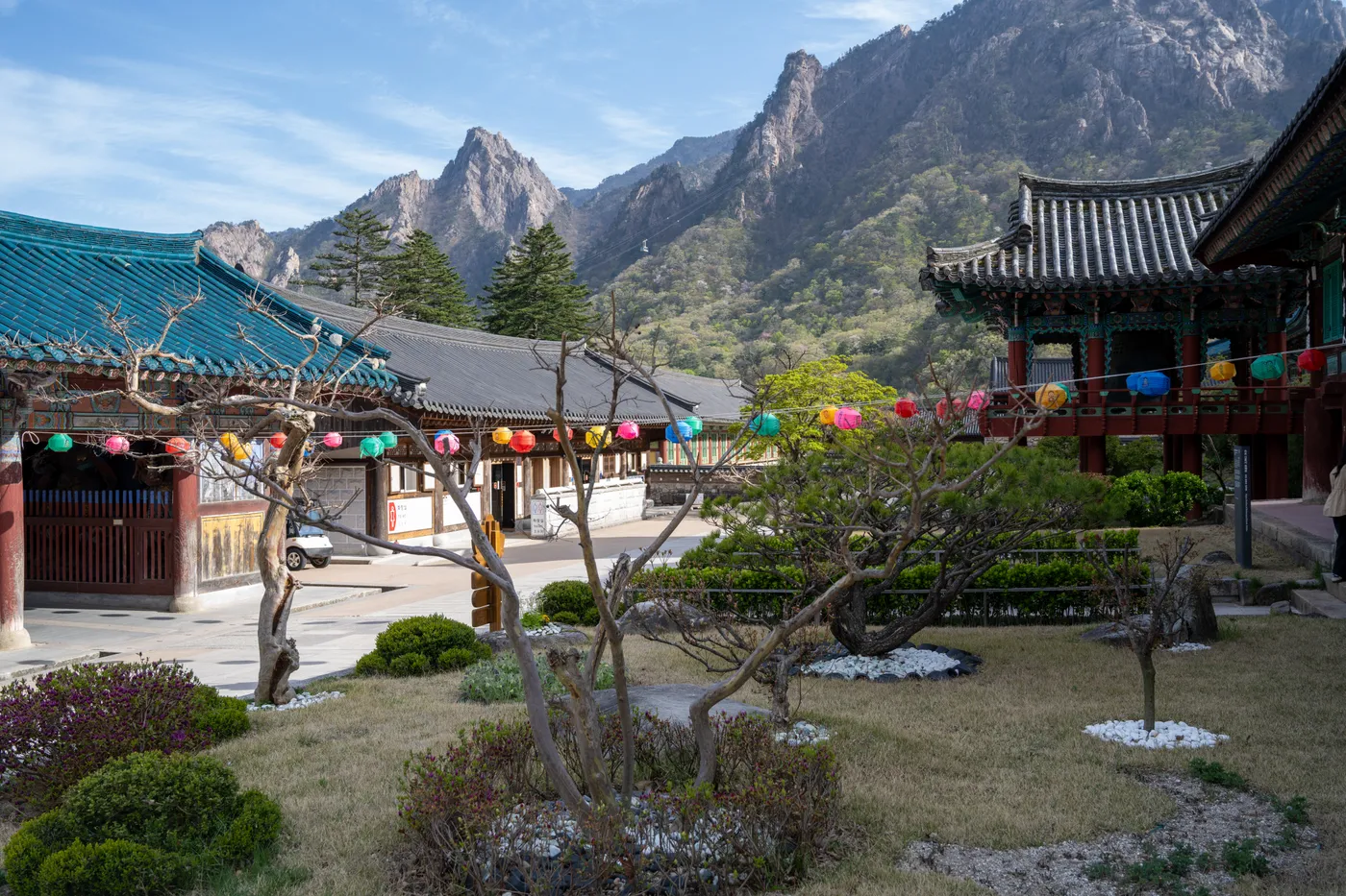 South Korea 19-Day Complete Expedition (Seoul, Seoraksan, Andong, Gyeongju, Busan, Jeonju, Suwon) - Main Field Photo